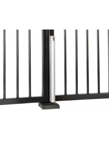 Elektryczny rygiel Locinox Electradrop