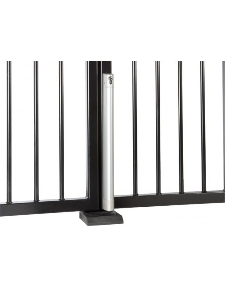 Elektryczny rygiel Locinox Electradrop