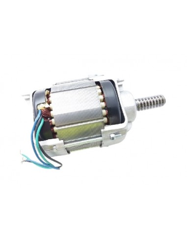 Silnik NICE do wingo 230 V